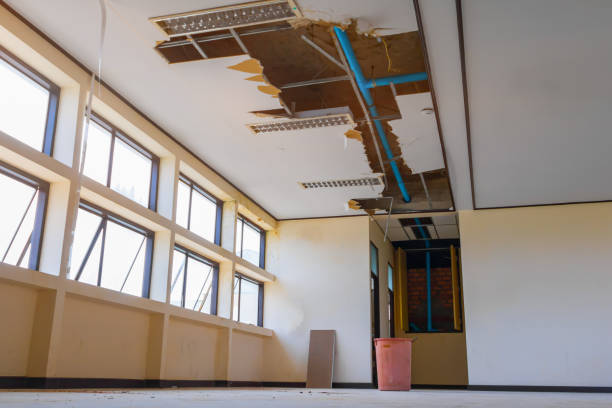 Best Commercial water damage restoration  in Emerald Lake Hills, CA