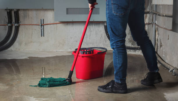Best Water damage cleanup near me  in Emerald Lake Hills, CA