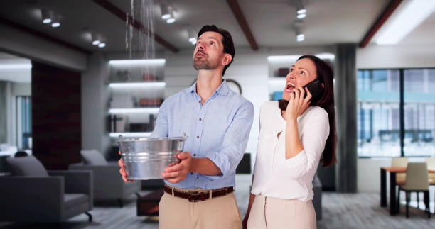 Professional Water damage restoration in Emerald Lake Hills, CA